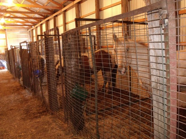 Horse stalls at Clayton's  place.