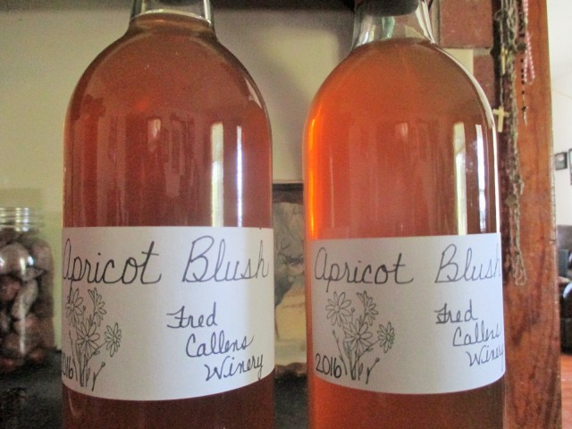 72 bottles of Apricot Blush ready for the wedding. Come to the Barn Dance to sample what is left!